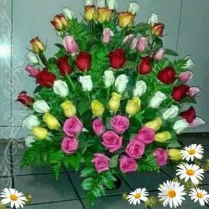 Meet your Posher, Ally